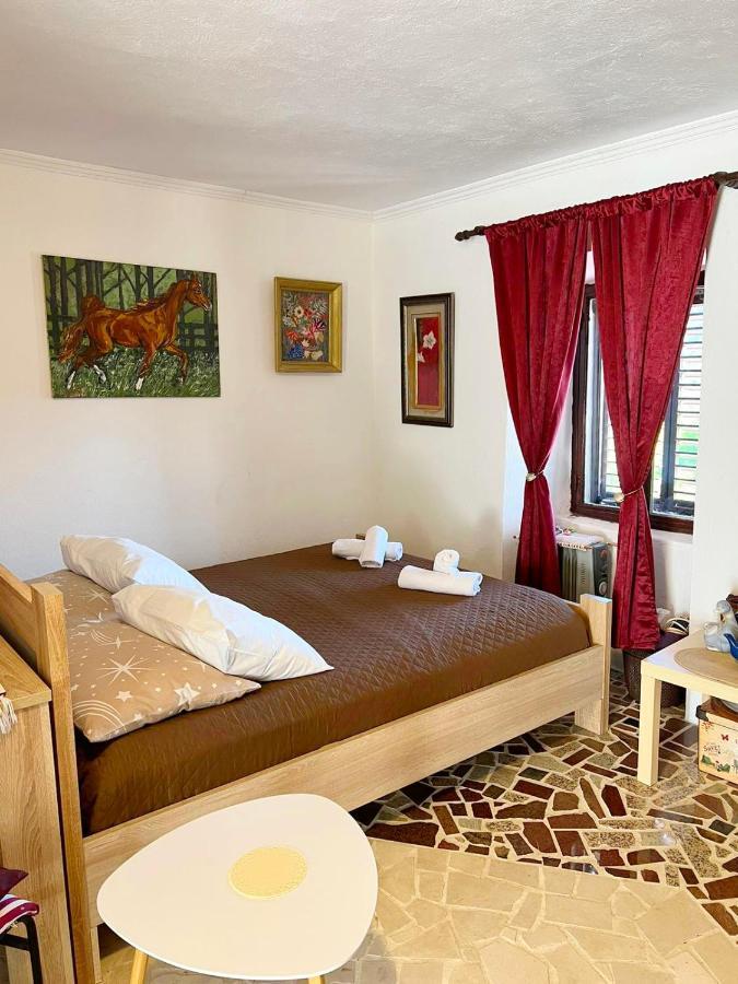 ヴィルパザル Dabanovic Houseヴィラ エクステリア 写真